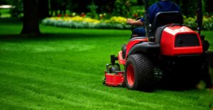 lawn care services in plainfield