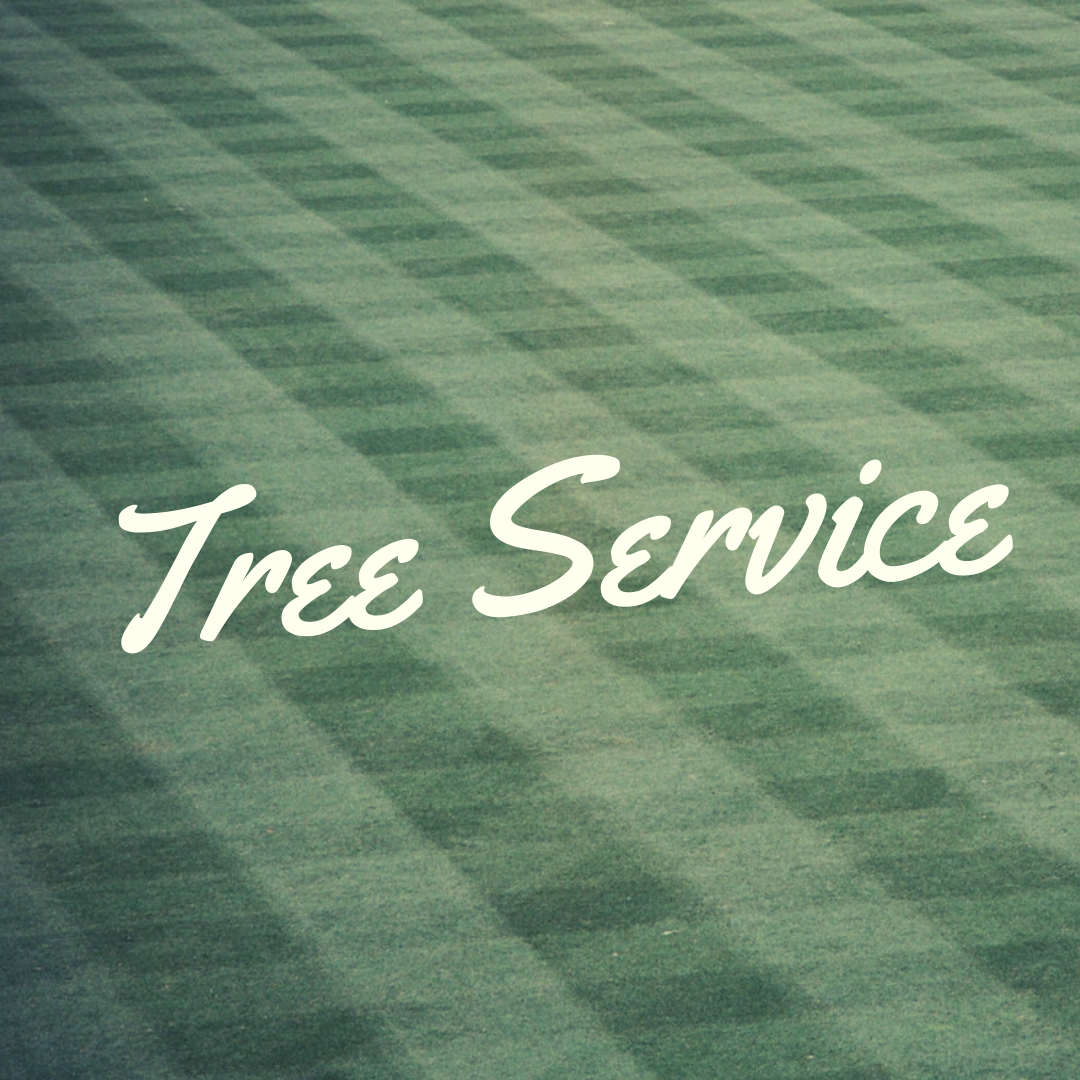 tree service in plainfield